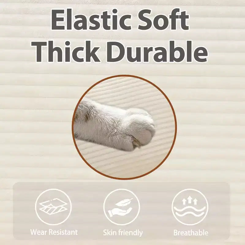 MAYEERTY Canapé modulaire en peluche Cloud de 54 pouces, simple avec ottoman, coussin et oreiller en chenille beige, compact pour la maison