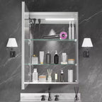 FAMYYT Armoire à pharmacie lumineuse en aluminium de 20 po L x 28 po H avec miroir, intensité variable, anti-buée, entièrement assemblée
