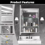FAMYYT Armoire à pharmacie lumineuse en aluminium de 20 po L x 28 po H avec miroir, intensité variable, anti-buée, entièrement assemblée