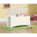 Meuble de rangement pour collection